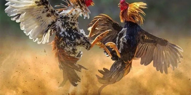 Tổng hợp các khuyến mãi hấp dẫn tại Ga6789